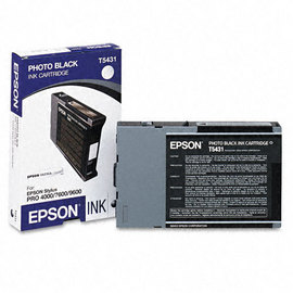 Epson T543100 Photo Black Ink Cartridge
